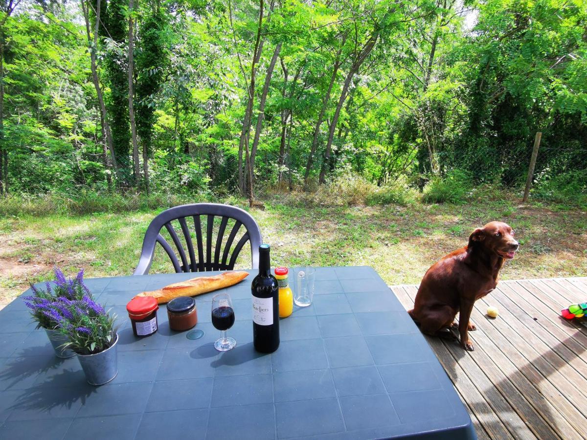 Camping Le Coin Charmant Chauzon Luaran gambar